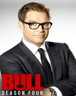 série Bull
