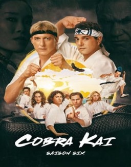 série Cobra Kai