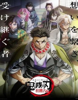série Demon Slayer : Kimetsu no Yaiba