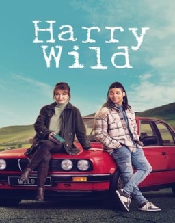 série Harry Wild