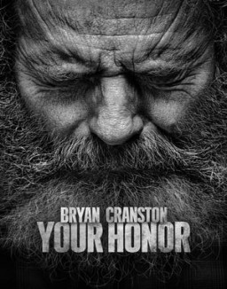 série Your Honor