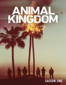 série Animal Kingdom