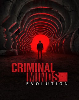 série Esprits criminels