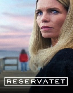 Affiche de Secrets We Keep en streaming